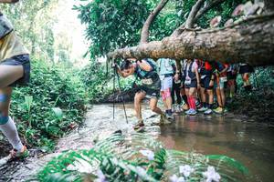 BIB: 
                            <button type="button" onclick="openModal(25466419)" class="btn btn-primary btn-sm float-right btn-popup" data-toggle="modal" data-target=".modal-high-quality">
                        <i class="fas fa-shopping-cart"></i> Add to Cart
                    </button>
                                            <button type="button" onclick="isThisMe(25466419, true)" class="btn btn-success btn-sm float-right btn-popup btn-isme hidden" data-toggle="tooltip" data-placement="bottom" title="นี่คือรูปของคุณใช่ไหม คลิกที่นี่เพื่อเอาเข้าอัลบั้ม">
                        <i class="fas fa-plus"></i> Add to album
                    </button>
                    <button type="button" onclick="isThisMe(25466419, false)" class="btn btn-warning btn-sm float-right btn-popup btn-isnotme hidden">
                        <i class="fas fa-ban"></i> Remove from album
                    </button>